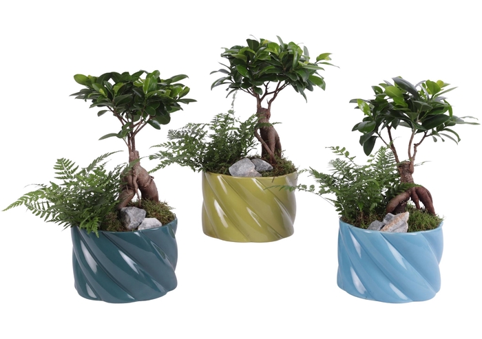 <h4>Opm Yearround Arr. Indoor Ceramic Fresh Breeze</h4>