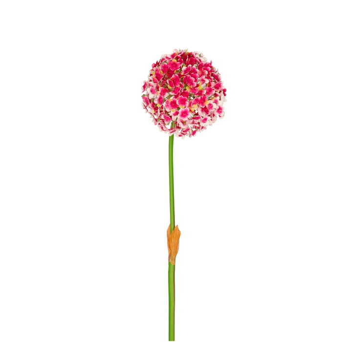 <h4>Artificial flowers Allium 82cm</h4>