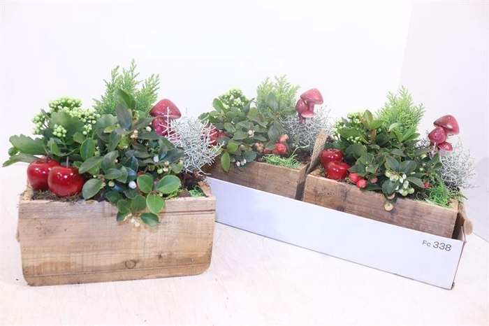 <h4>ARR TUINPLANTEN</h4>