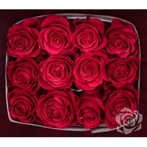 R GR ALTAMIRA EQ