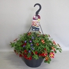 Hangpotten 37 cm met waterreservoir Mix 05 Queen Heart mix