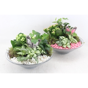arr2 PL - Glas schaal 23cm vlinder - roze/wit