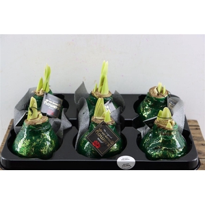 Wax Hipp Galaxy Dark Green