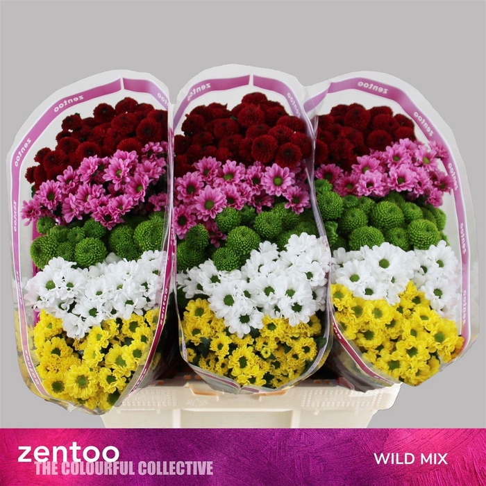 <h4>Chr S Gem Wild Garden</h4>