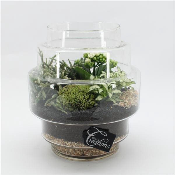 <h4>ESCR-2507W Essentials terrarium</h4>