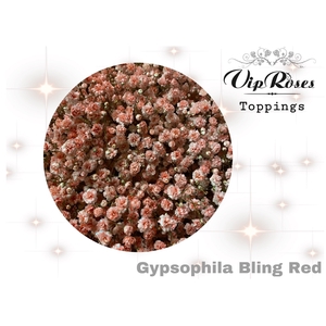 Gyps Pa Vip Bling Red