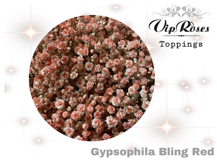 <h4>Gyps Pa Vip Bling Red</h4>