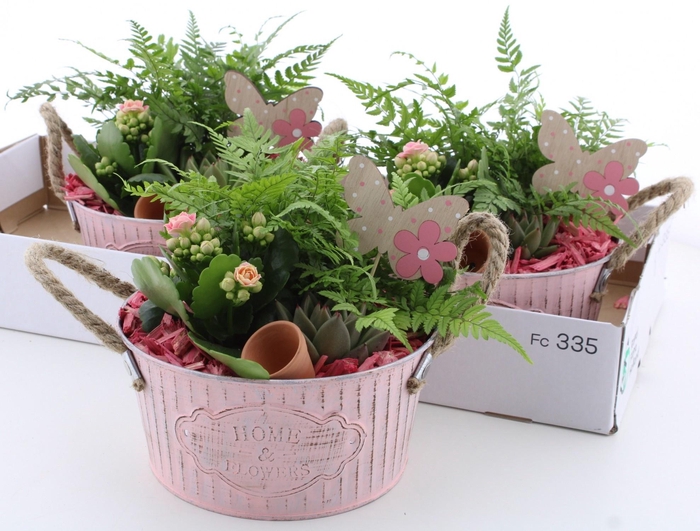 <h4>ARR KAMERPL</h4>