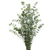 FOLHAGEM EUCAFLOR 060 CM