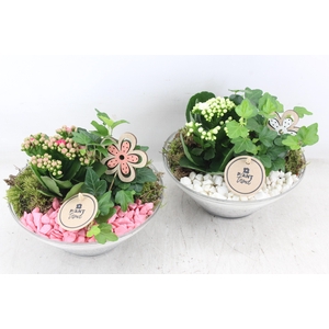 arr2 PL - Glas ribbel schaal x3 - roze/wit