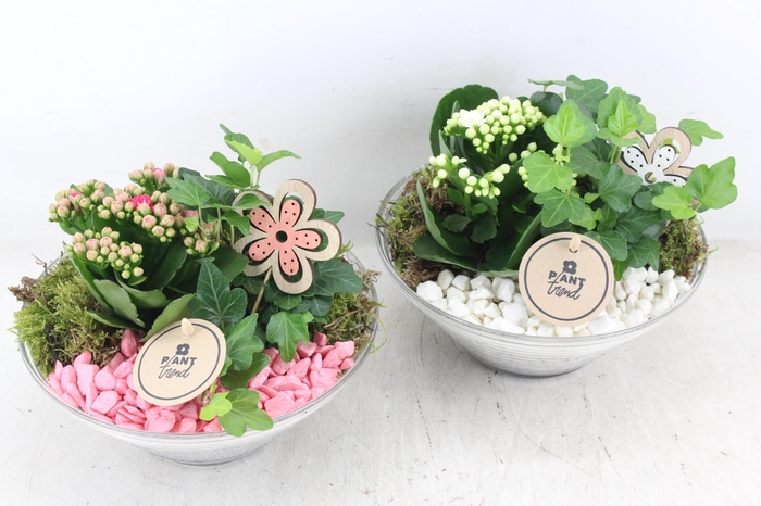 <h4>arr2 PL - Glas ribbel schaal x3 - roze/wit</h4>