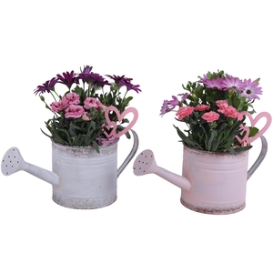 Mothersday Arr. Outdoor Zinc WateringCan Vintage Ø36cm 2PP