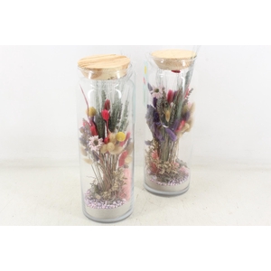 arr2 Droogbl. MB - Orchid glas 234/4