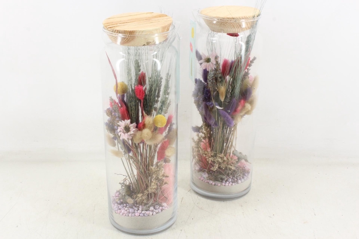 <h4>arr2 Droogbl. MB - Orchid glas 234/4</h4>