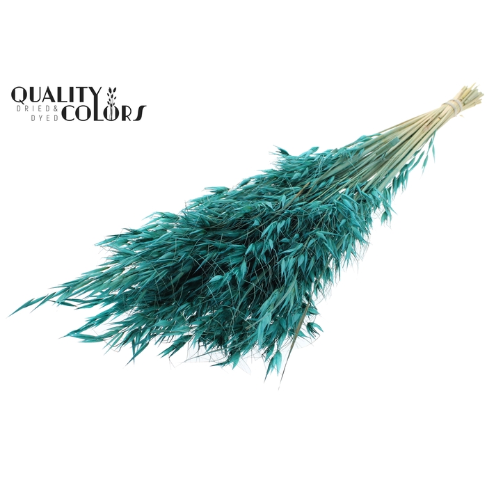 <h4>Avena Wild per bunch Turquoise</h4>