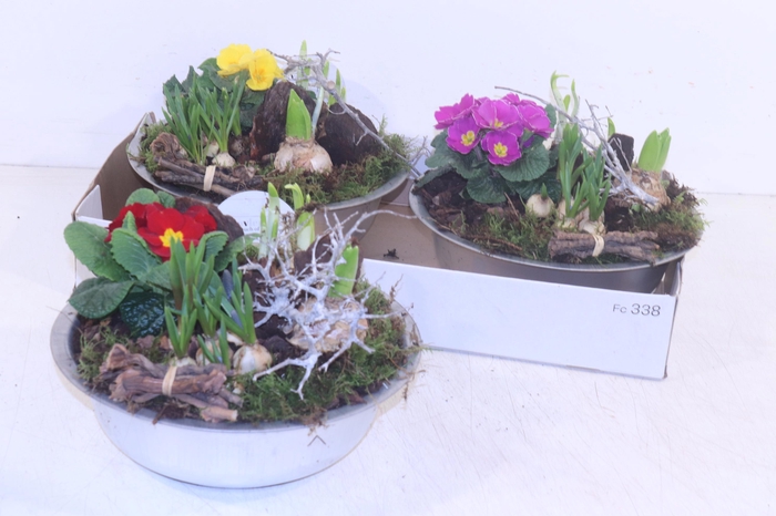 <h4>ARR PL IN SCHAAL</h4>