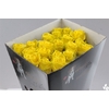 Wax-Rozen Wax Geel 50cm