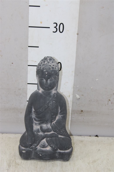 <h4>Buddhabeeld</h4>