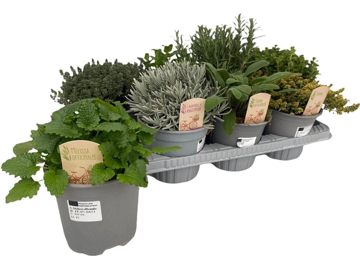 <h4>Tuinkr Gemengd</h4>