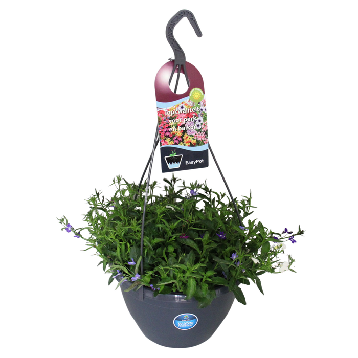 Hangpotten 27 waterreservoir Mix 12 Lobelia Trio