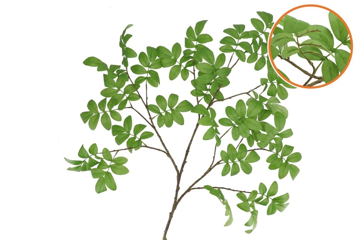 <h4>Silk Leaf Rowan Green 125cm Nm</h4>