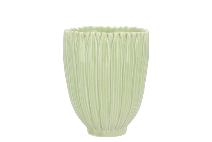 <h4>Bloom Daisy Dreamy Green Cup 9x9x11cm</h4>