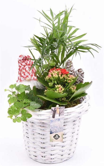 <h4>Wilg bloempot wit 18cm</h4>