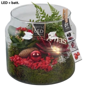 Opm Pt PTCHR7478 X-mas Red Glas Pot