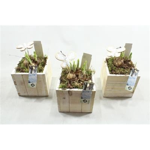 21306 HOUT WW VK TETE