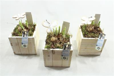 <h4>21306 HOUT WW VK TETE</h4>