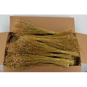 DF Linium (Vlas) BS 100GR