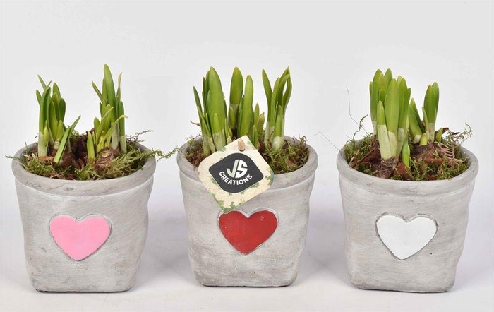 <h4>Cement potje met hart 11cm</h4>