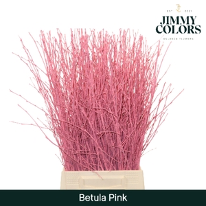 Betula L60 Pink