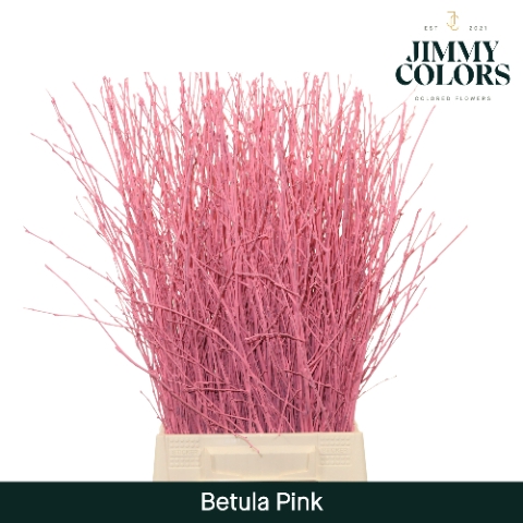 <h4>Betula L60 Pink</h4>