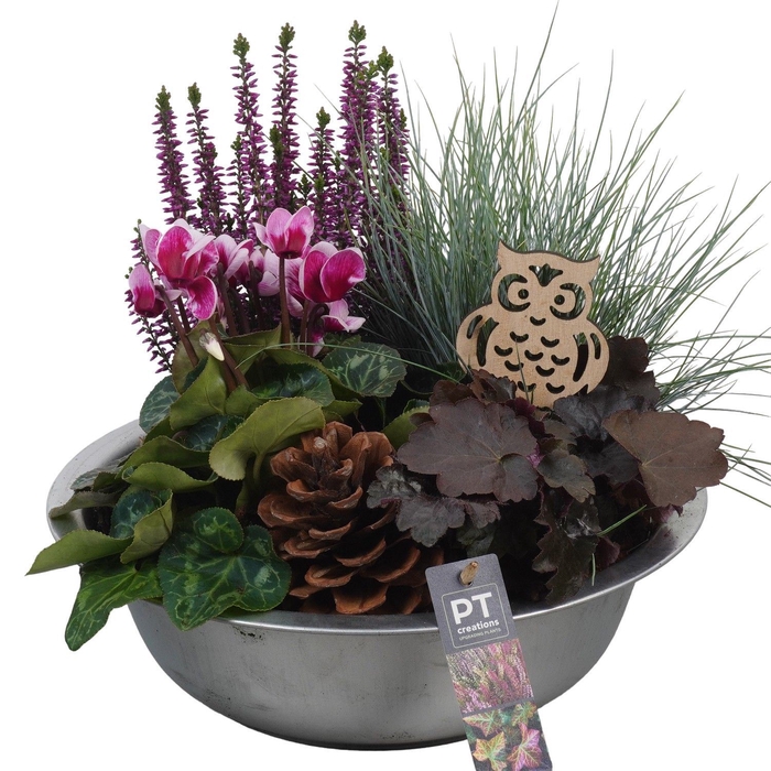 <h4>Arr.   Tuinplanten L%</h4>