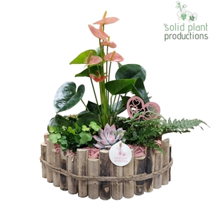 HVAE006 Napoli Large Pink