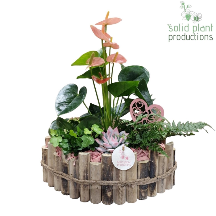 <h4>HVAE006 Napoli Large Pink</h4>