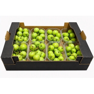 Sier Malusappel Groen Plat X8