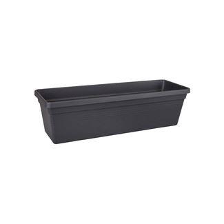 Balkonbak green basics 50cm living-