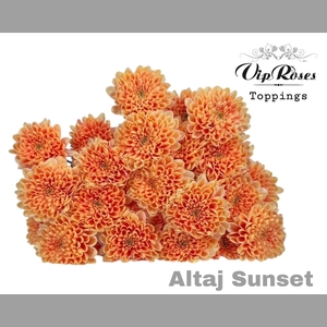 CHR T ALTAJ SUNSET