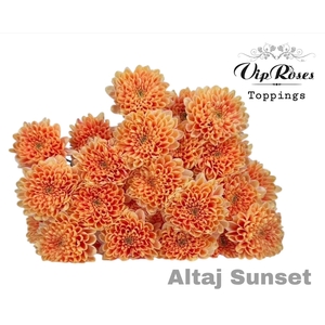 CHR T ALTAJ SUNSET