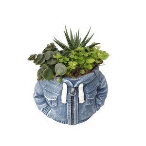 Arr.   Kamerplant Groen L%