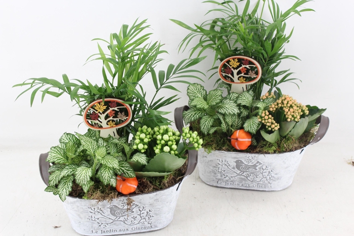 <h4>arr2 TD - Zink ovaal jardin - oranje/wit</h4>