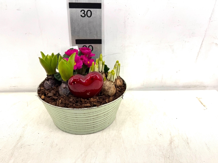 <h4>ARR PL IN SCHAAL</h4>