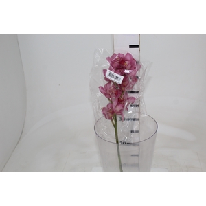 CYMBIDIUM HT MIN 9 FLS ROSA ESCURO