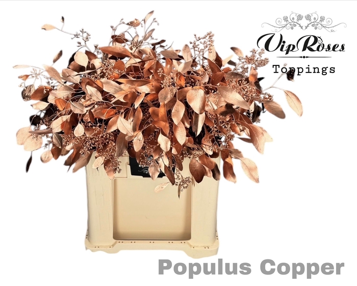 <h4>EUCA POPULUS BES COPPER</h4>