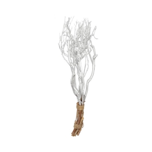 Droogbloem Tea branch 65 cm