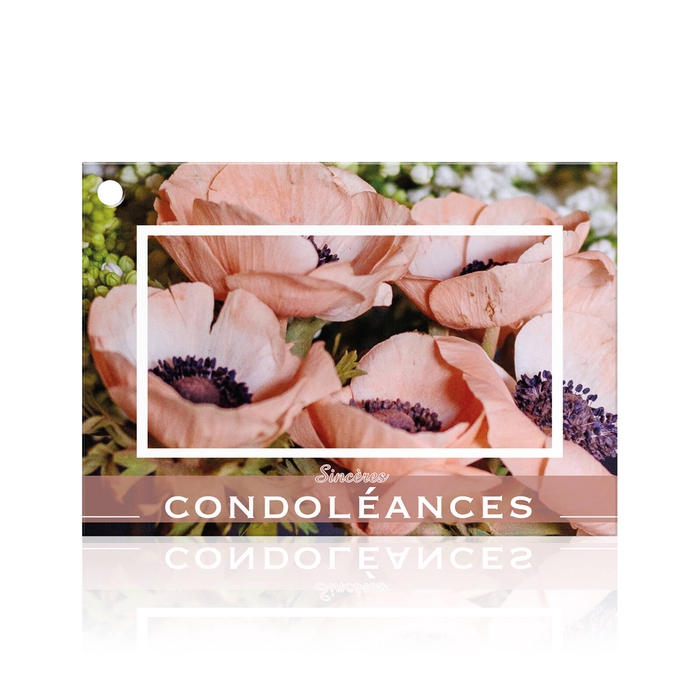 sincères condoléances 10 cartes par paquet 1100340F