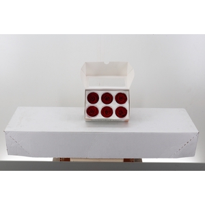Rosa Preserved Light Red