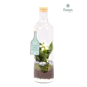 Green Bottle Fles Large met Anthurium